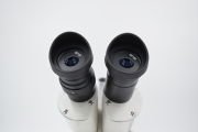 XT-35C Binoküler Stereo Mikroskop